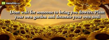sunflower plant your own garden