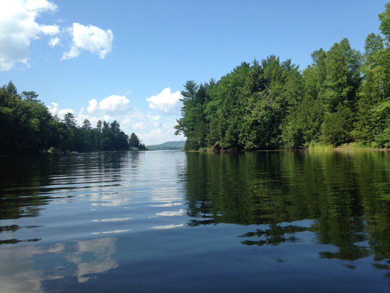 lake trees