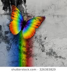 rainbow butterfly