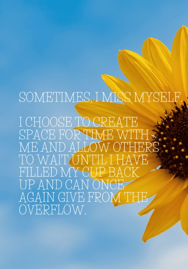 Sometimes I miss myself page