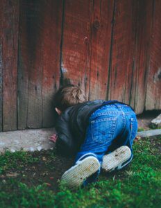 Little boy trying to get through a wooden fence