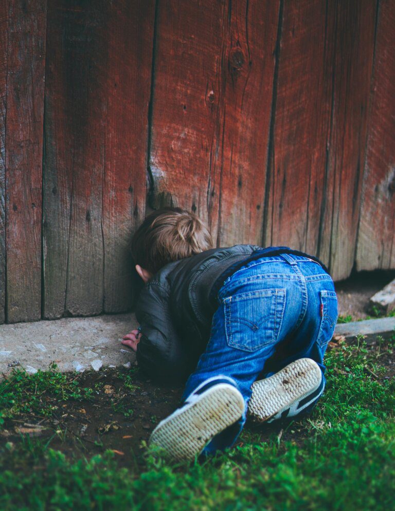 Little boy trying to get through a wooden fence